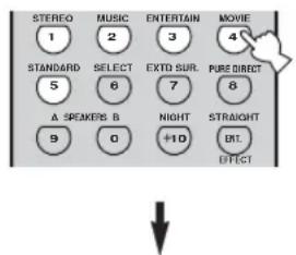 STEREO 1 STANDARD 5 A SPEKERS B 9 MUSIC 2 SELECT 6 MUSIC 3 ENTERTAIN 7 EXTO SUR. 0 NIGHT +10 MOVIE 4 PURE DIRECT 8 STRAIGHT ENT. EFFECT