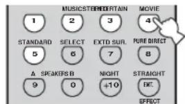 MUSICSTERRERTAIN MOVIE 1 2 3 4 STANDARD SELECT EXT. SUR. PURE DIRECT 5 6 7 8 Δ SPEAKERS B NIGHT STRAIGHT 9 0 +10 ETC. EFFECT