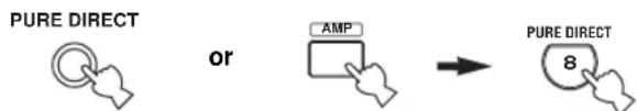 PURE DIRECT or AMP PURE DIRECT 8