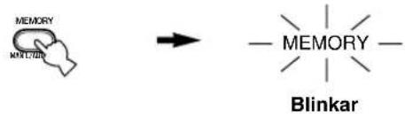 MEMORY MAYL/DB → — MEMORY — Blinkar