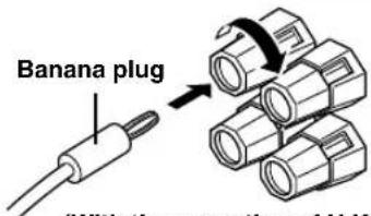 Banana plug (With the operation of H.K.