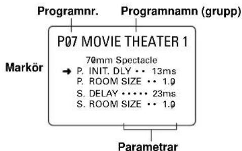 YAMAHA RXV620RDS - Ändring av parameterinställningarna - 6