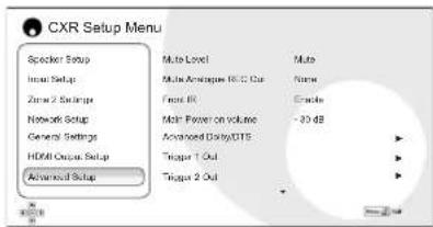 CAMBRIDGE CXR200 - Affichage infos à l'écran - 1