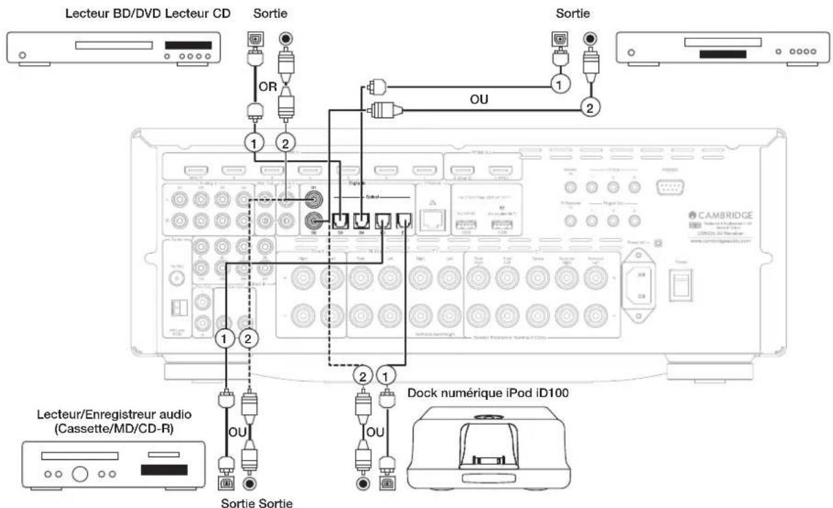 CAMBRIDGE CXR200 - Raccordement audio analogiques - 2
