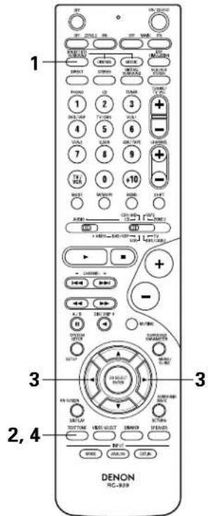 DENON AVR884 - Before playing with the surround function - 8