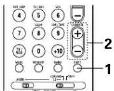 DENON AVR484 - Recalling preset stations - 2