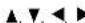 DENON AVR484 - Digital video disc player (DVD, DVD SETUP) system buttons - 3