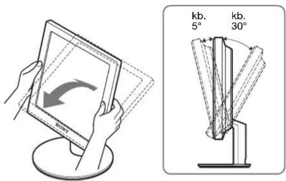 SONY SDMS53 - lépés: A dőlésszög beállítása - 1