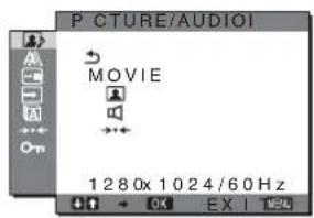 SONY SDMHX95 - PICTURE/AUDIO menu - 1