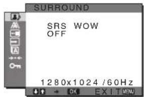 SONY SDMHX95 - Nastavitve SURROUND - 1