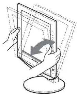 SONY SDMHX95 - Setup 6:Adjust the tilt and swivel - 1