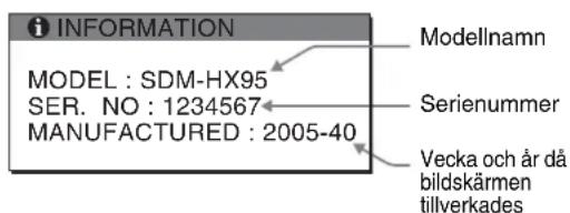 SONY SDMHX95 - Exempel - 2