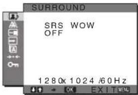 SONY SDMHX95 - Nastaveni SURROUND - 1
