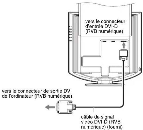 SONY SDMHX95 - Raccordez un ordinateur équipé d'un connecteur de sortie DVI (RVB numérique) - 1