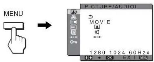 SONY SDMHX95 - Visualize o menu principal. - 1