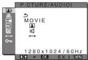 SONY SDMHX95 - Menu PICTURE/AUDIO - 1