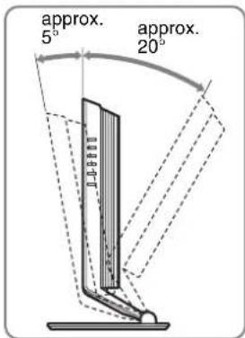 SONY SDMHX95 - Setup 6:Adjust the tilt and swivel - 2