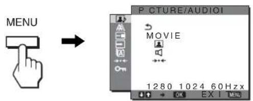 SONY SDMHX95 - Display the main menu. - 1