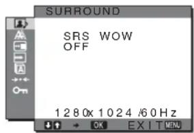SONY SDMHX95 - Regula SURROUND - 1
