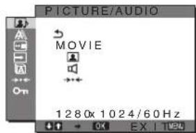 SONY SDMHX95 - PICTURE/AUDIO menu - 1