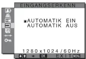 SONY SDMHX95 - EINGANGSERKENN - 1