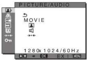 SONY SDMHX75 - PICTURE/AUDIO nabídka - 1