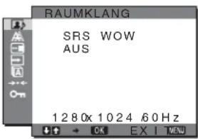 SONY SDMHX75 - Einstellen von RAUMKLANG - 1