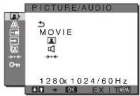 SONY SDMHX75 - PICTURE/AUDIO menü - 1