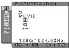 SONY SDMHX75 - PICTURE/AUDIO menu - 1