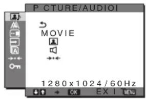 SONY SDMHX75 - PICTURE/AUDIO menüsü - 1