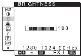 SONY SDMHS94P - BRIGHTNESS - 1