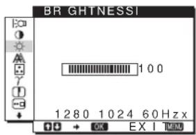 SONY SDMHS94P - BRIGHTNESS (sayfa 12) - 1