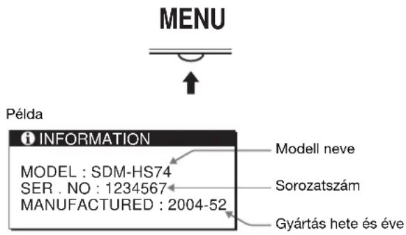 SONY SDMHS94P - A monitor adatainak megjelenítése - 1