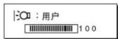 SONY SDMHS74P - 调至所需的亮度 - 1