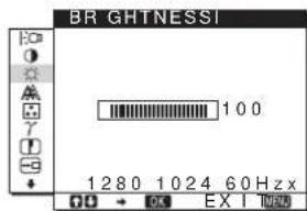 SONY SDMHS74P - BRIGHTNESS (strana 12) - 1