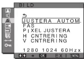 SONY SDMG96X - Menyn BILD (endast analog RGB-signal) - 1