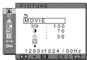 SONY SDMG96X - PICTURE menusu - 1