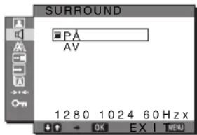 SONY SDMG96X - Välja SURROUND - 1