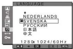 SONY SDMG96X - Menyn LANGUAGE - 1
