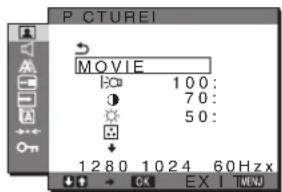 SONY SDMG76X - Menu PICTURE - 1