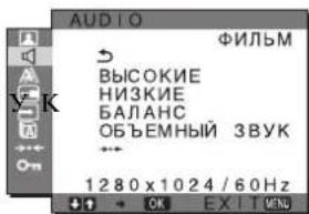 SONY SDMG76X - Меню AUDIO - 1