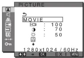 SONY SDMG76X - PICTURE menü - 1