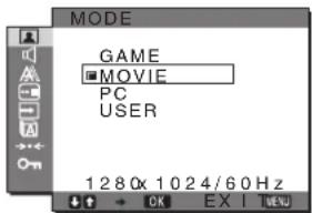 SONY SDMG76X - Menu PICTURE - 2