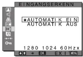 SONY SDMG76X - Menü EINGANGSERKENN - 1
