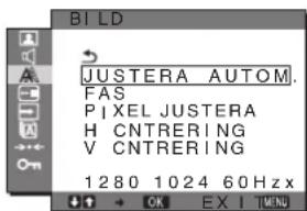 SONY SDMG76X - A Menyn BILD (endast analog RGB-signal) - 1