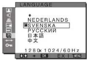 SONY SDMG76X - Menyn LANGUAGE - 1