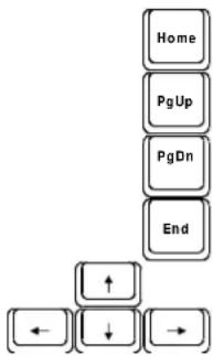 MAXDATA Vision 440T - Cursor-Control Keys - 1