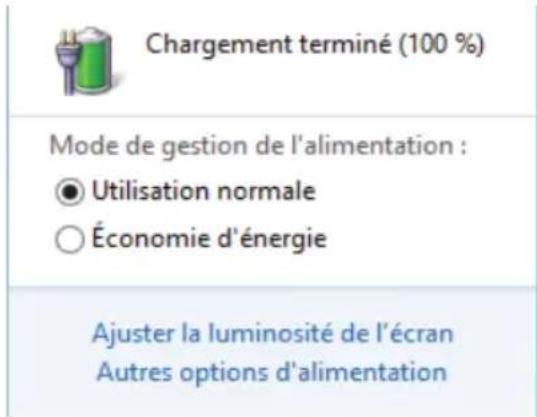 PEAQ PNB S1115 - Contrôle de la capacité de la batterie - 1