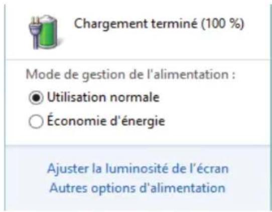 PEAQ PNB C1017 - Contrôle de la capacité de la batterie - 1