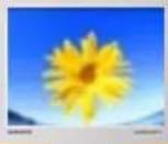 SAMSUNG SyncMaster 191N - Windows XP/2000 - 4